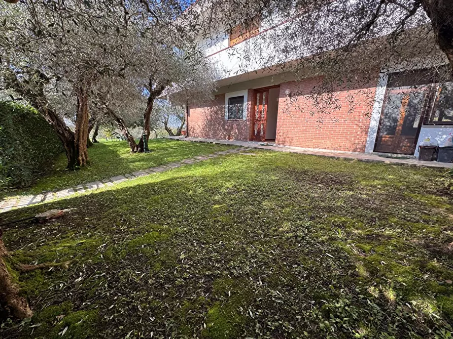 Immagine 2 di Appartamento in affitto  a Calci