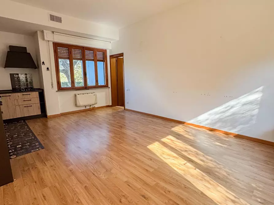 Immagine 7 di Appartamento in affitto  a Calci