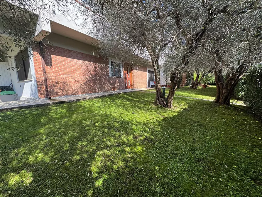 Immagine 1 di Appartamento in affitto  a Calci