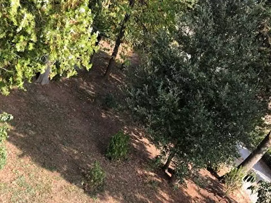 Immagine 14 di Casa semindipendente in vendita  a Siena