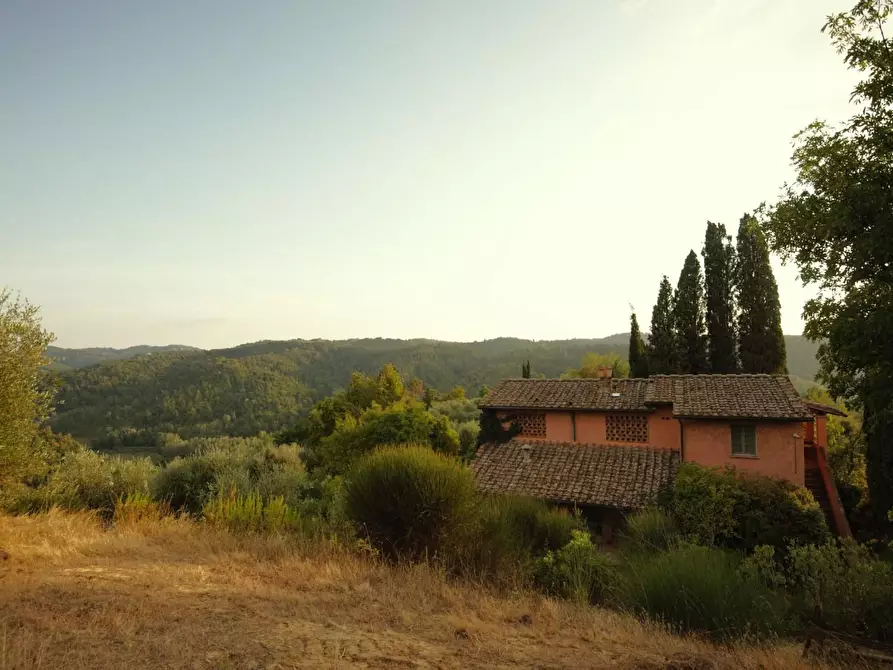 Immagine 30 di Casa colonica in vendita  a San Miniato