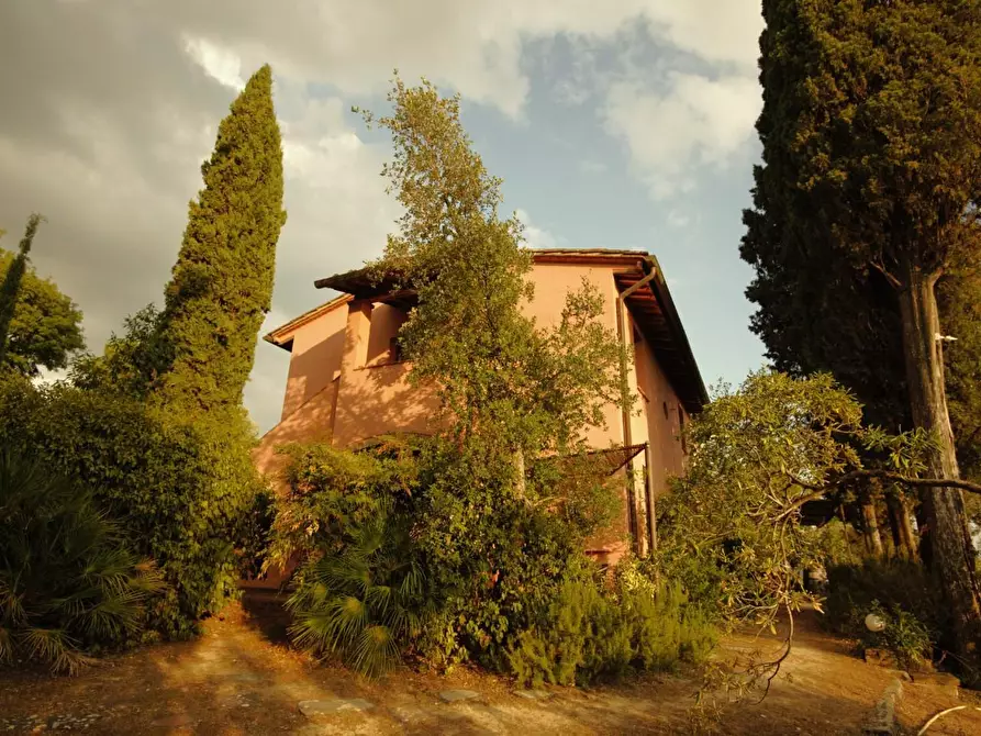 Immagine 36 di Casa colonica in vendita  a San Miniato