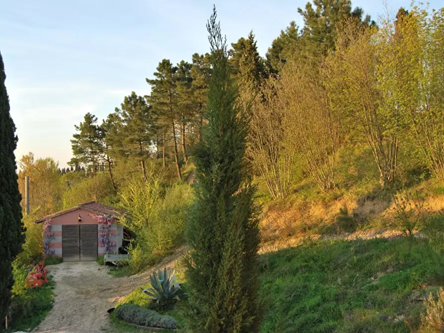 Immagine 43 di Casa colonica in vendita  a San Miniato