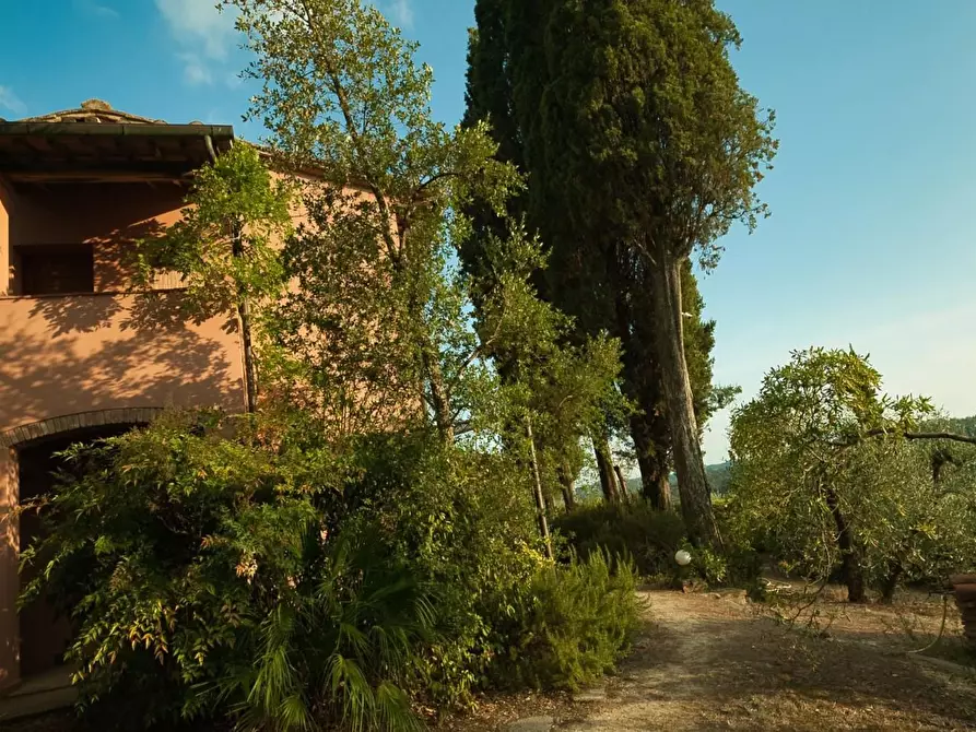 Immagine 37 di Casa colonica in vendita  a San Miniato