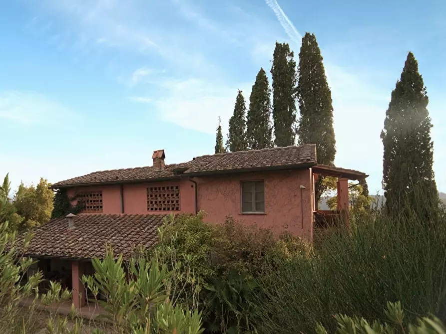 Immagine 33 di Casa colonica in vendita  a San Miniato