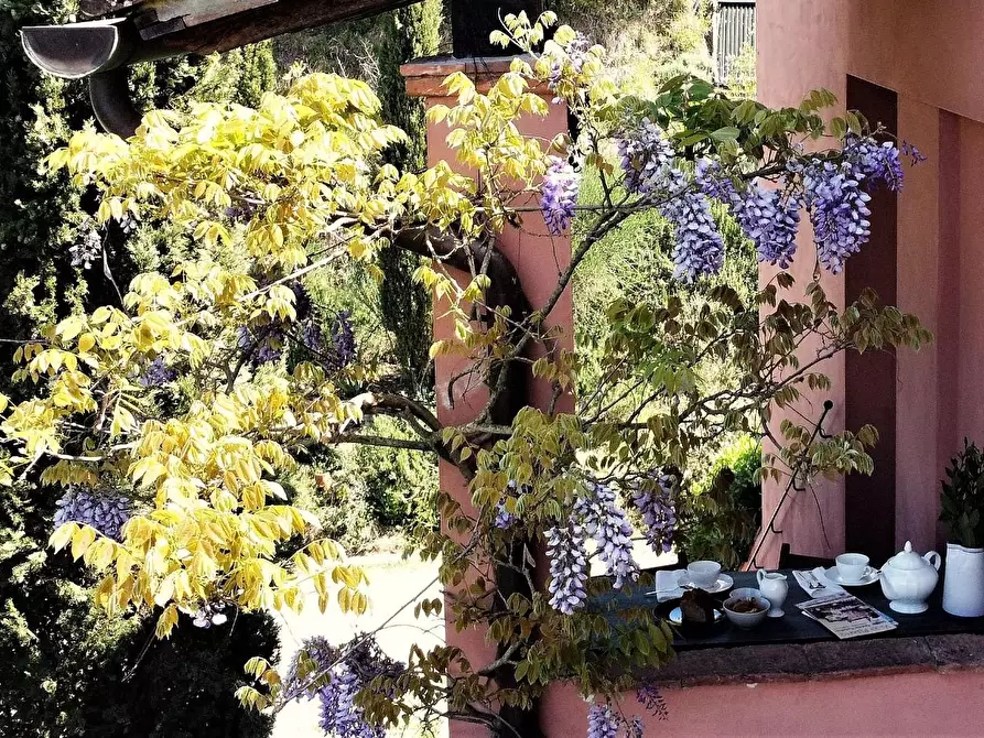 Immagine 40 di Casa colonica in vendita  a San Miniato