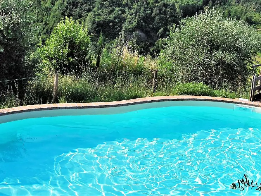 Immagine 29 di Casa colonica in vendita  a San Miniato