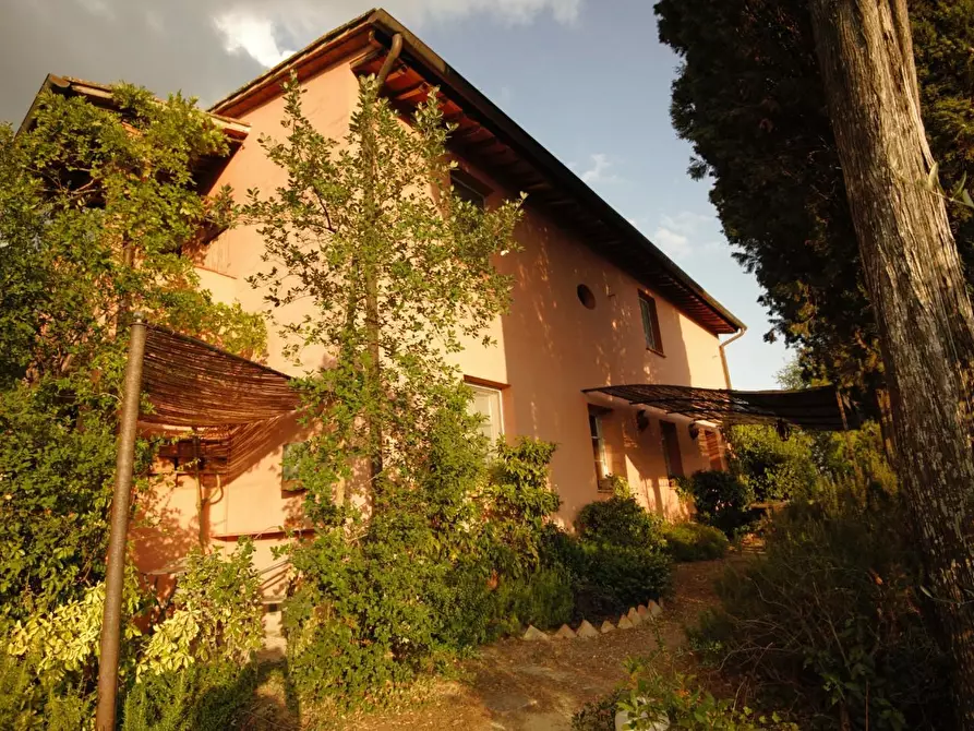 Immagine 35 di Casa colonica in vendita  a San Miniato