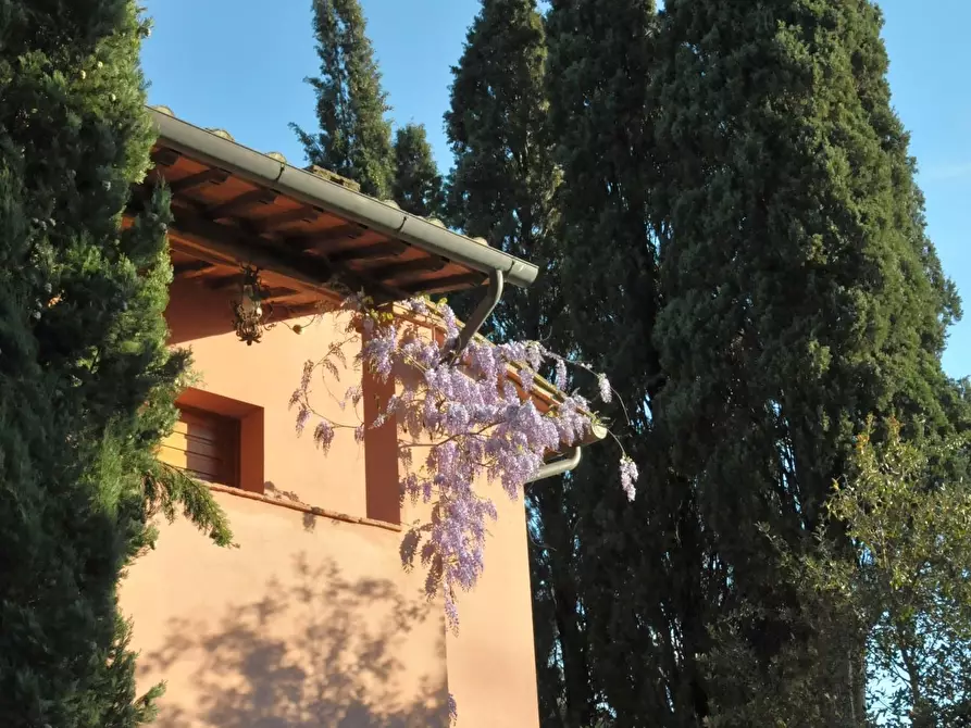 Immagine 38 di Casa colonica in vendita  a San Miniato