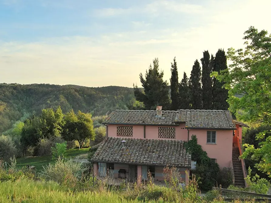 Immagine 32 di Casa colonica in vendita  a San Miniato