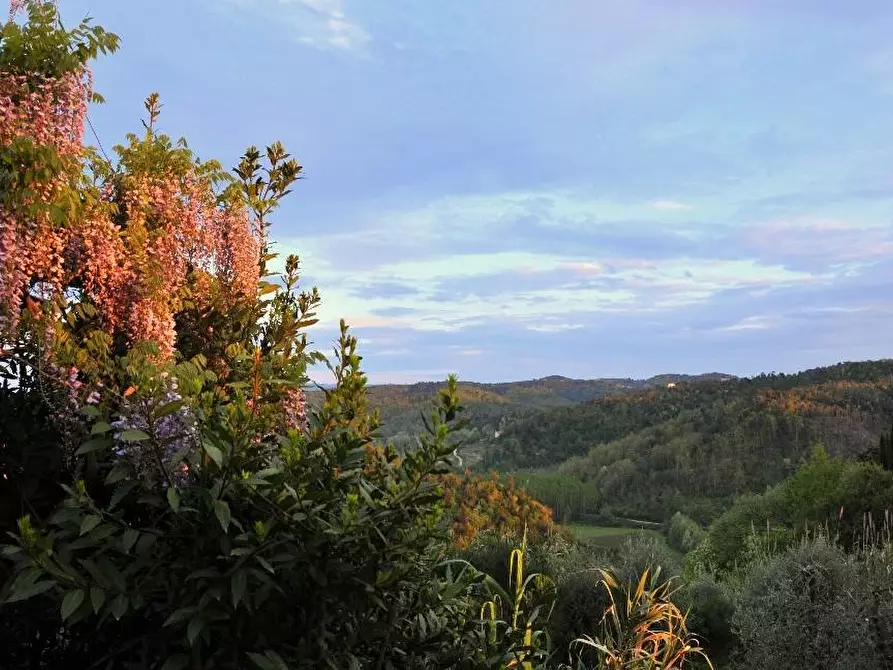 Immagine 41 di Casa colonica in vendita  a San Miniato
