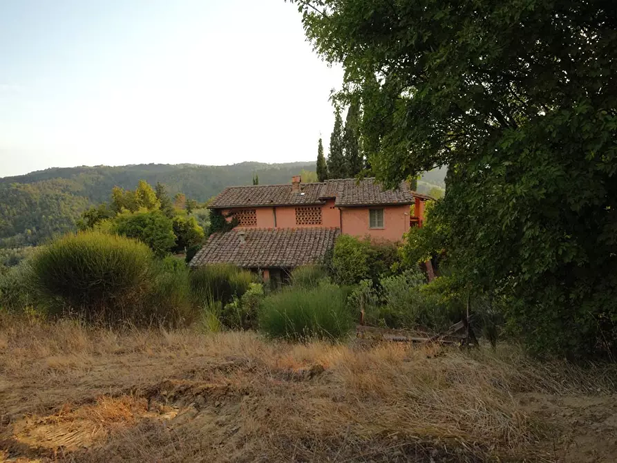 Immagine 31 di Casa colonica in vendita  a San Miniato