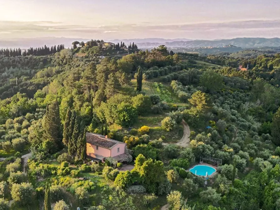 Immagine 1 di Casa colonica in vendita  a San Miniato