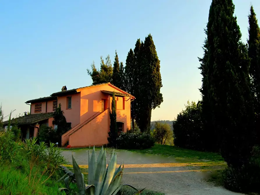 Immagine 42 di Casa colonica in vendita  a San Miniato