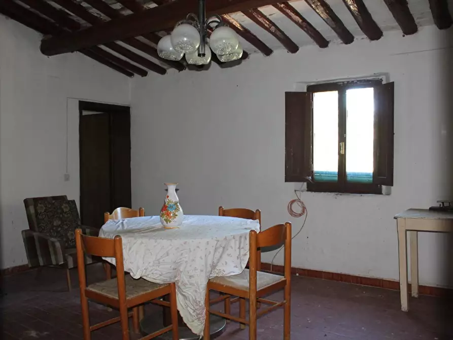 Immagine 6 di Porzione di casa in vendita  a Palaia