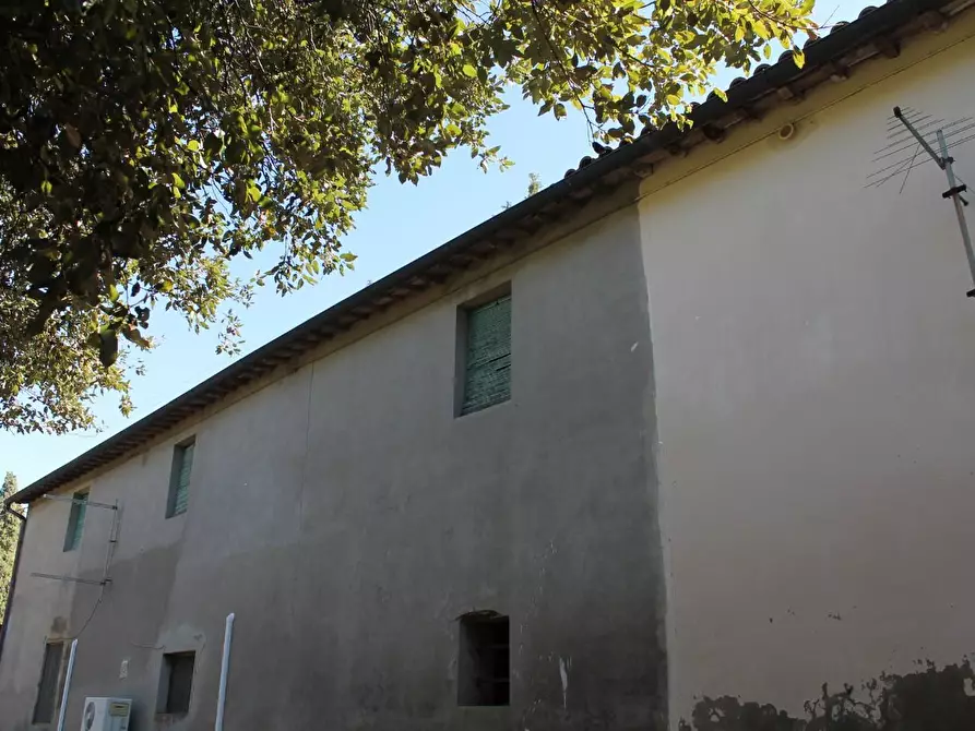 Immagine 22 di Porzione di casa in vendita  a Palaia