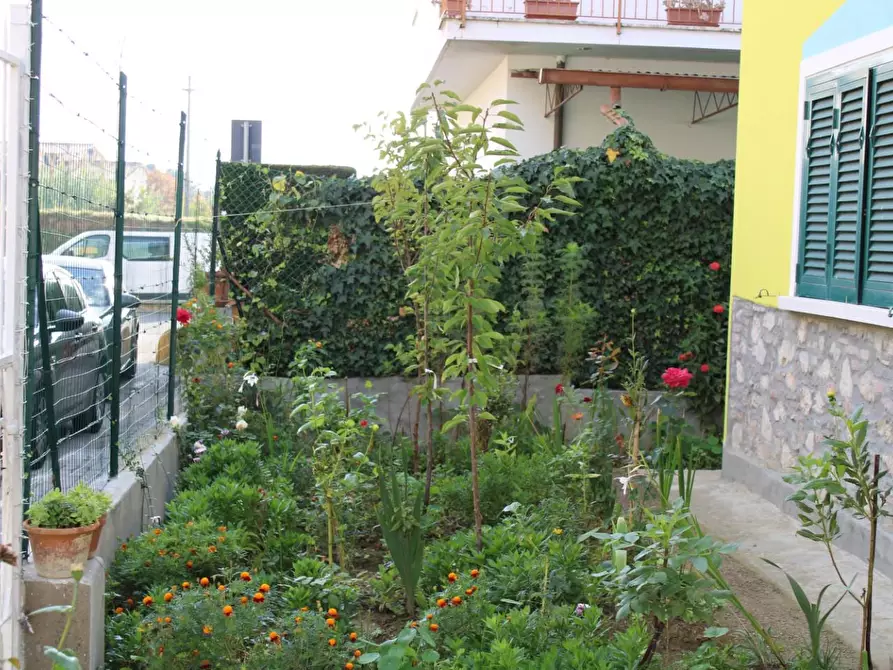 Immagine 22 di Villa in vendita  a Ponsacco