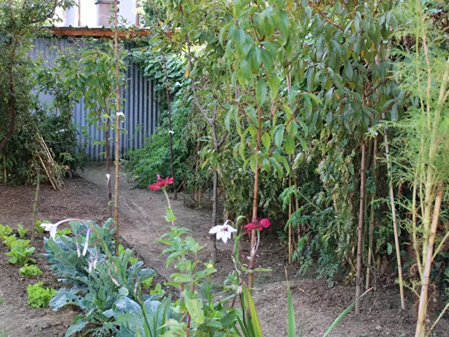 Immagine 3 di Villa in vendita  a Ponsacco