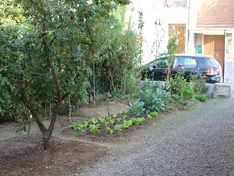 Immagine 5 di Villa in vendita  a Ponsacco