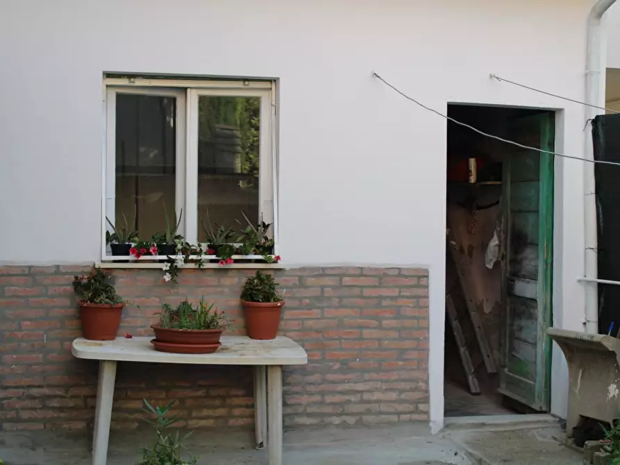 Immagine 8 di Villa in vendita  a Ponsacco