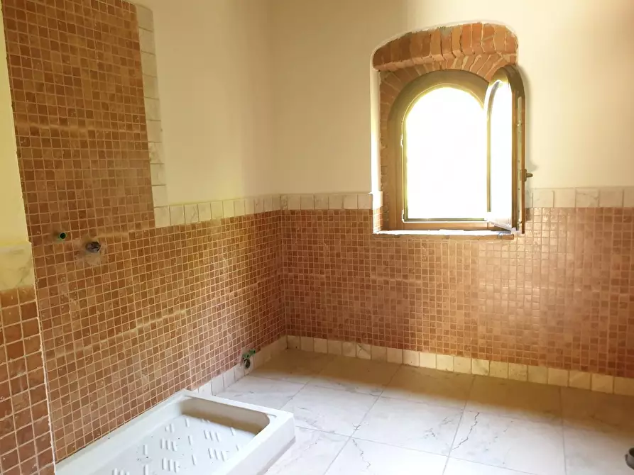 Immagine 21 di Casa colonica in vendita  a Casciana Terme Lari