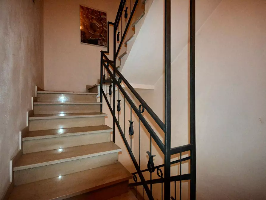 Immagine 5 di Attività artigianale in vendita  a Lucca