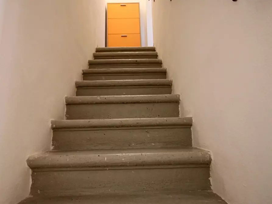 Immagine 11 di Terratetto in vendita  a San Giuliano Terme