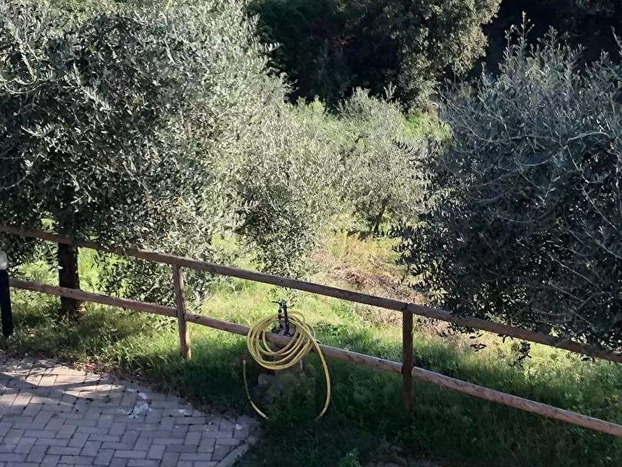 Immagine 15 di Villetta a schiera in vendita  a Murlo