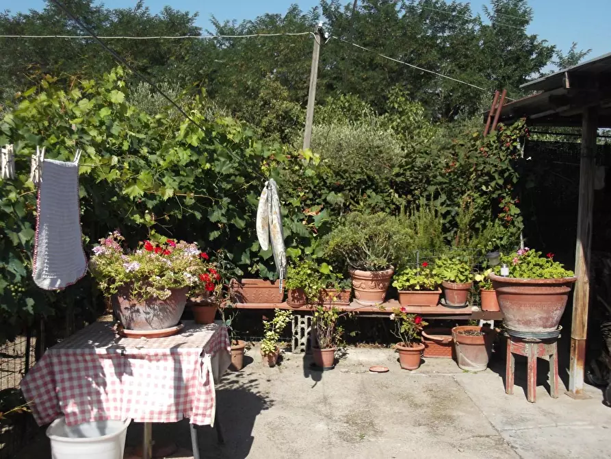 Immagine 12 di Casa semindipendente in vendita  a San Miniato