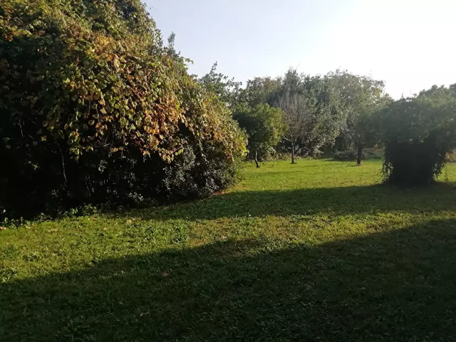 Immagine 6 di Villa in vendita  a Cascina
