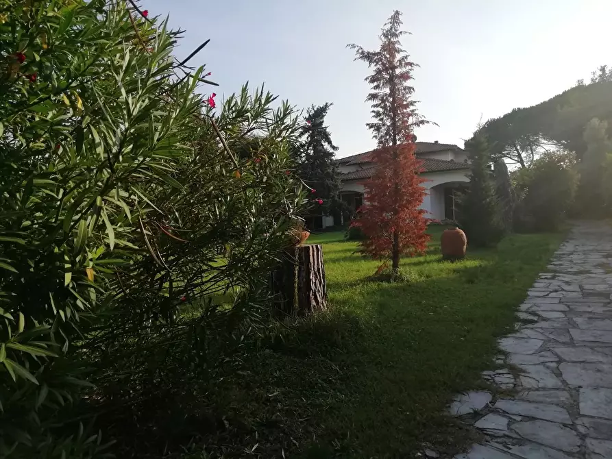 Immagine 2 di Villa in vendita  a Cascina