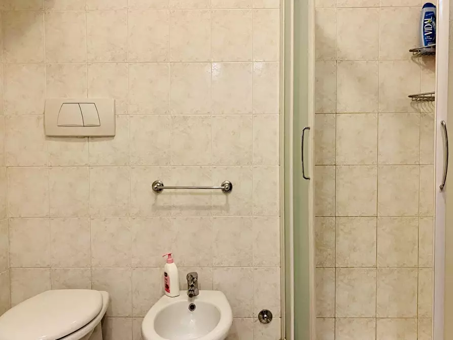 Immagine 11 di Appartamento in vendita  a Pietrasanta