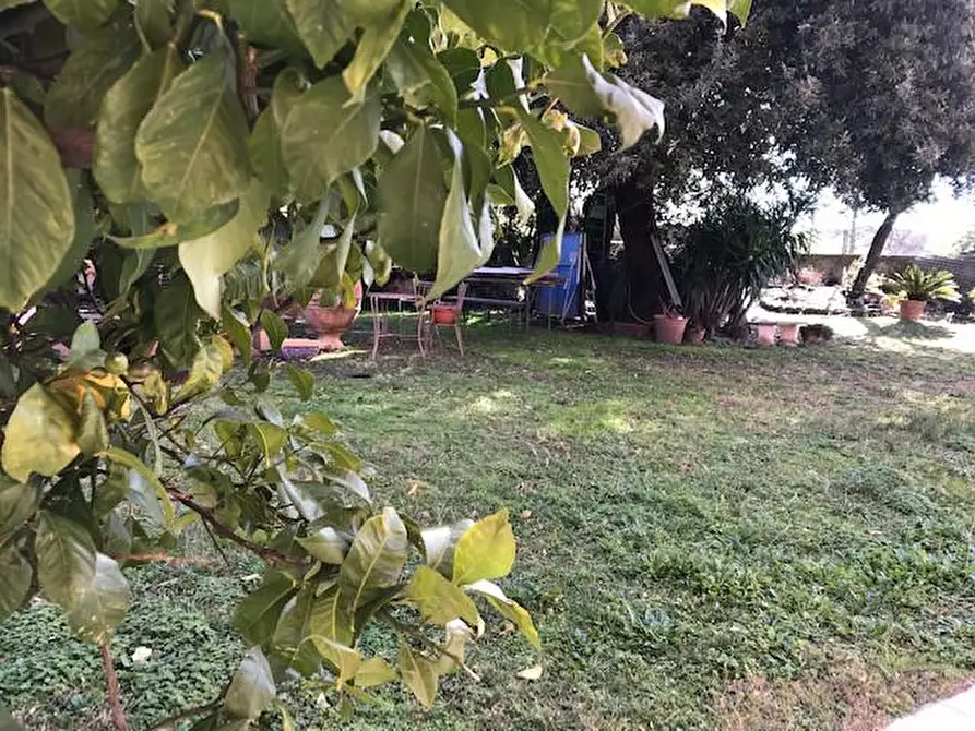 Immagine 15 di Villa in vendita  a Cascina