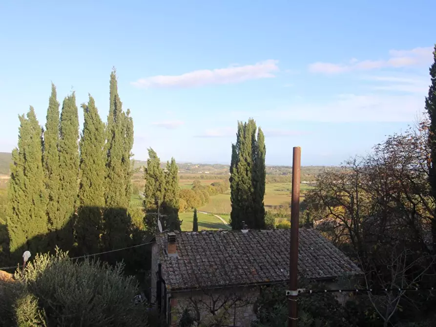 Immagine 18 di Villa in vendita  a Sovicille