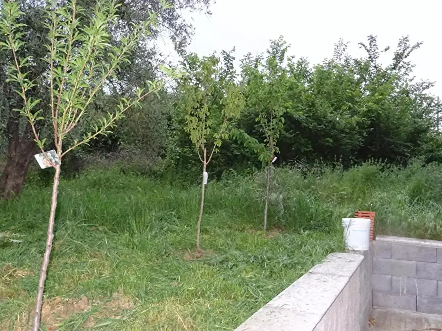 Immagine 14 di Casa indipendente in vendita  a Lamporecchio