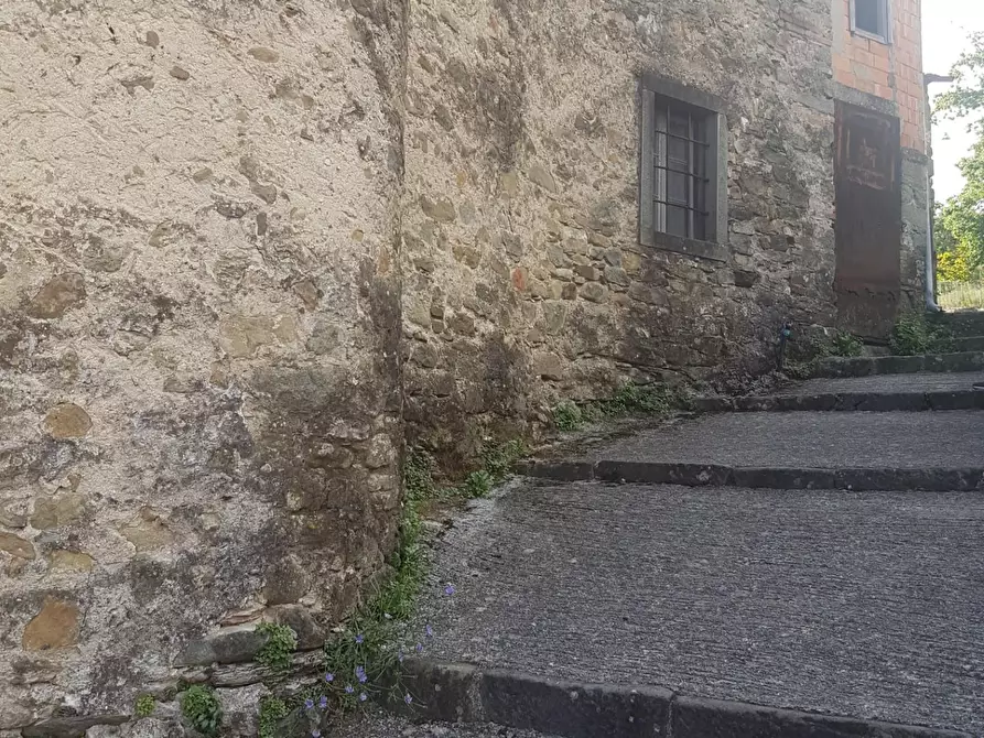 Immagine 14 di Casa colonica in vendita  a Comano