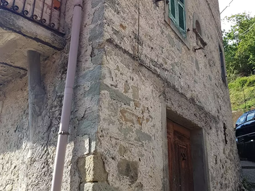 Immagine 4 di Casa colonica in vendita  a Comano