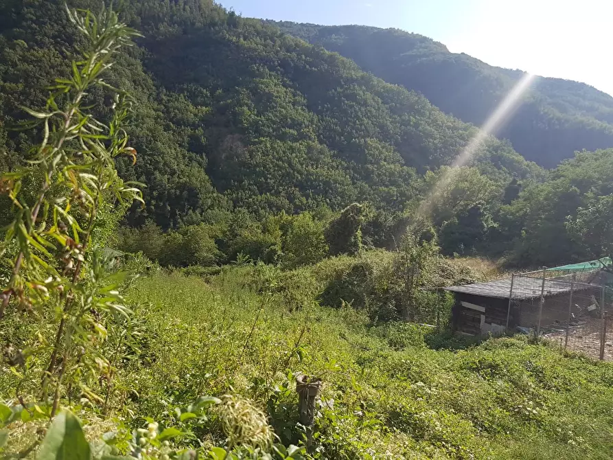 Immagine 11 di Casa colonica in vendita  a Comano