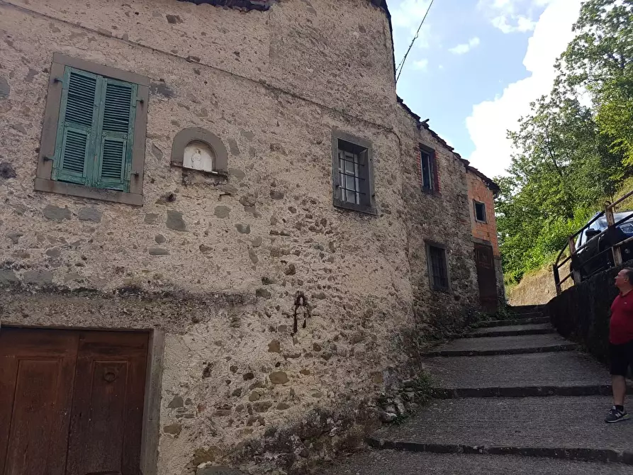 Immagine 3 di Casa colonica in vendita  a Comano