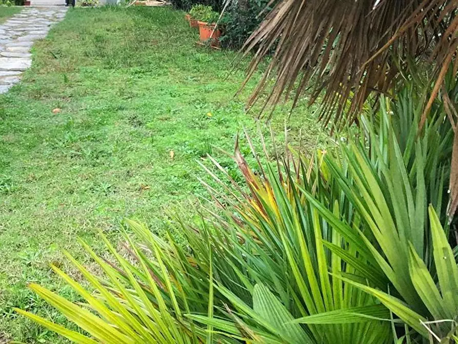 Immagine 14 di Villetta a schiera in vendita  a Pisa