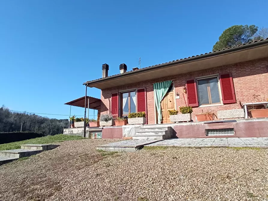 Immagine 4 di Casa bifamiliare in vendita  a Palaia