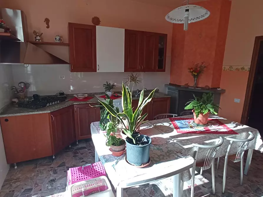 Immagine 13 di Casa bifamiliare in vendita  a Palaia