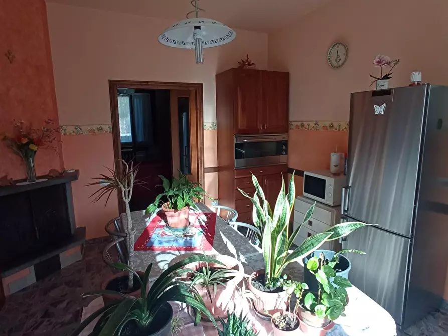 Immagine 14 di Casa bifamiliare in vendita  a Palaia