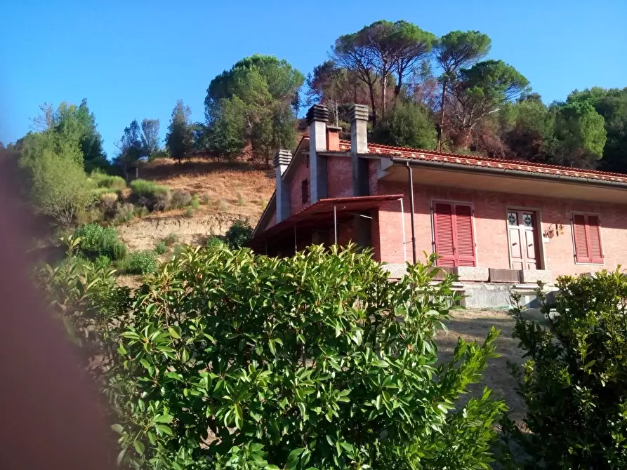 Immagine 2 di Casa bifamiliare in vendita  a Palaia