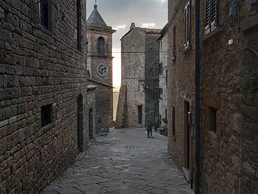 Immagine 9 di Immobile di prestigio in vendita  a Casale Marittimo