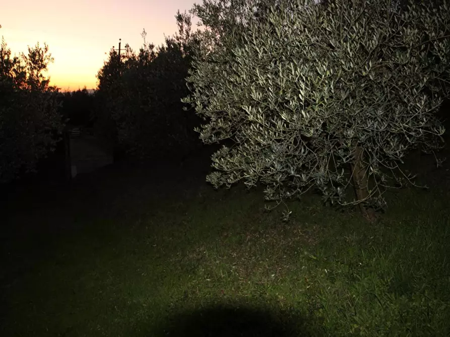 Immagine 6 di Porzione di casa in vendita  a Lamporecchio