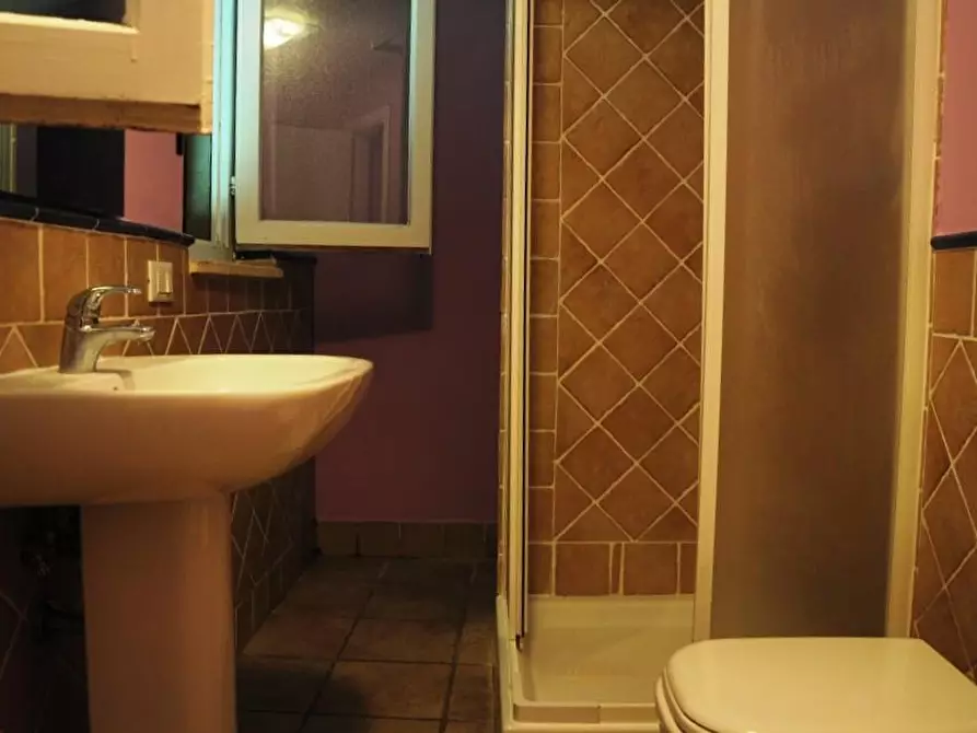 Immagine 10 di Appartamento in affitto  a Casole D'elsa