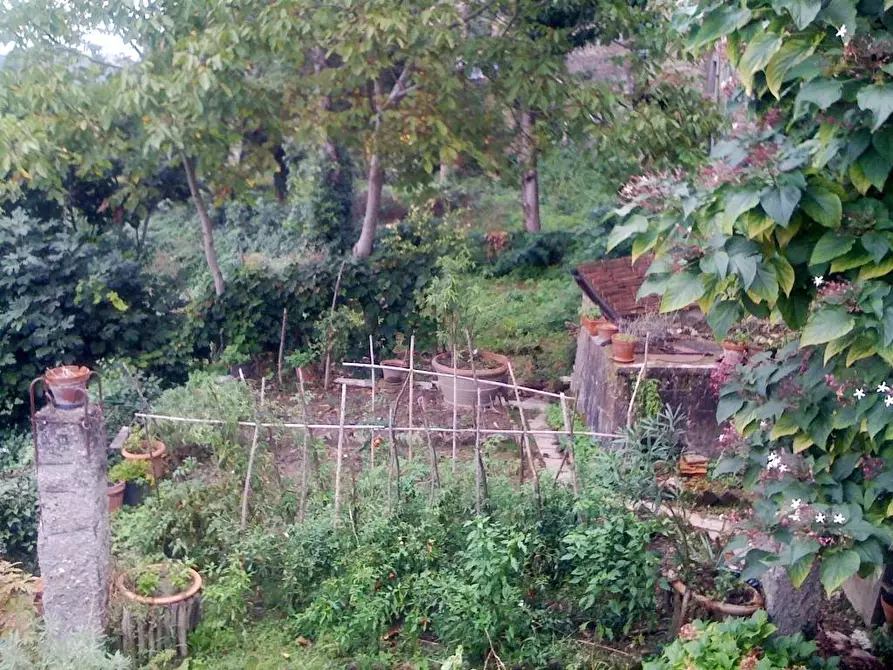 Immagine 20 di Appartamento in vendita  a Colle Di Val D'elsa