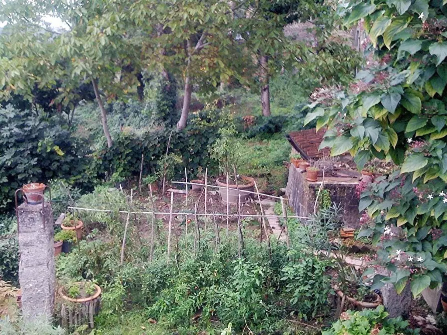 Immagine 33 di Appartamento in vendita  a Colle Di Val D'elsa