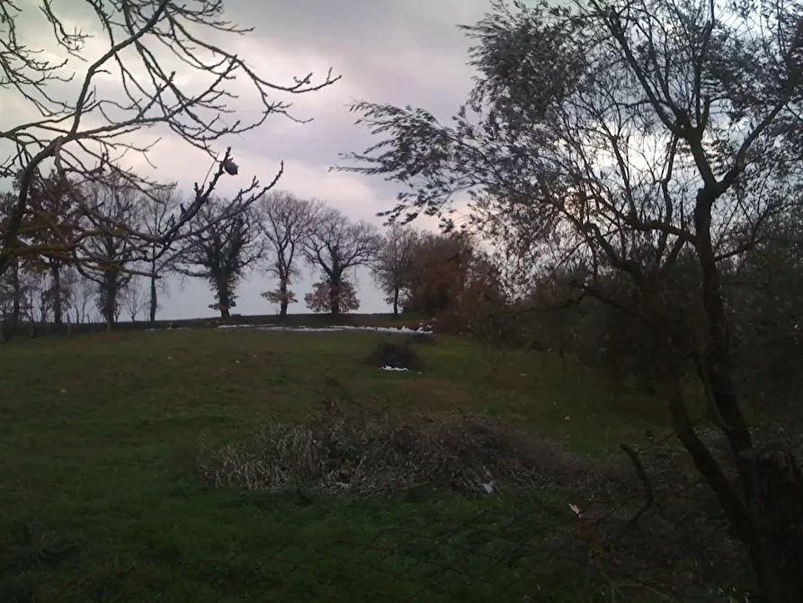 Immagine 5 di Rustico / casale in vendita  a Casole D'elsa